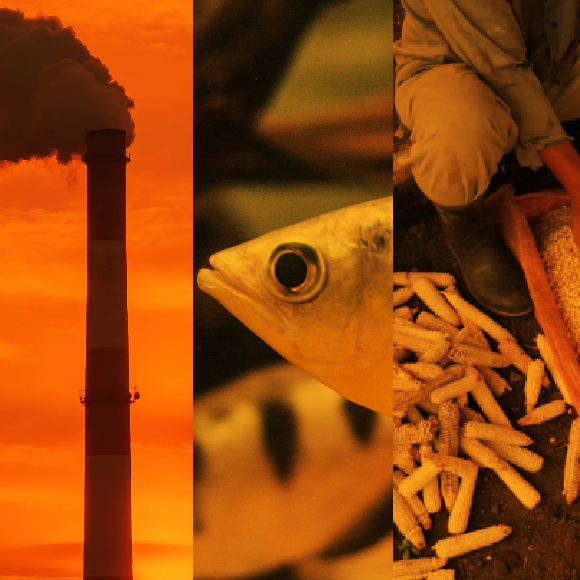 המחקרים החדשים ביותר: מהנשמדע 8/4/2022