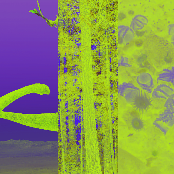 המחקרים החדשים ביותר: מהנשמדע 1/4/22