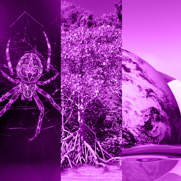 המחקרים החדשים ביותר: מהנשמדע 29/4/2022