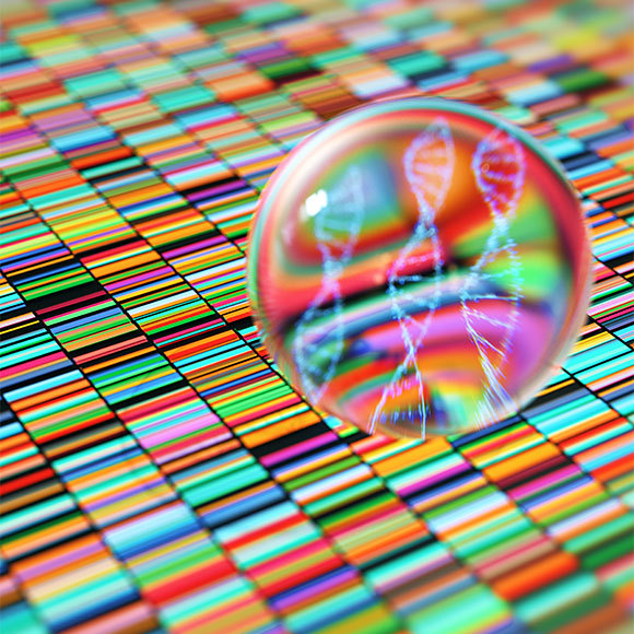 לראות את התמונה המלאה