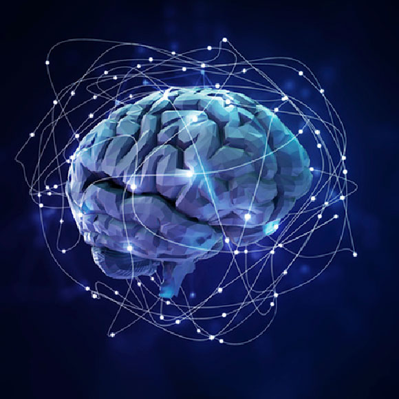 Can You Grow Meat in Space?