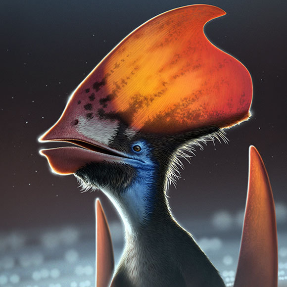 הנוצות הצבעוניות של הזוחלים המעופפים