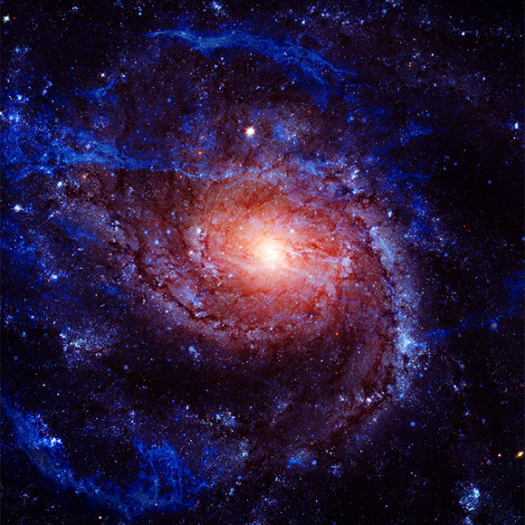 הקיפוד על השמש: השבוע בחלל