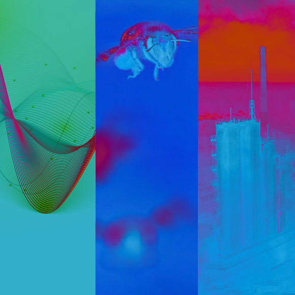 המחקרים החדשים ביותר: מהנשמדע 11/6/2022