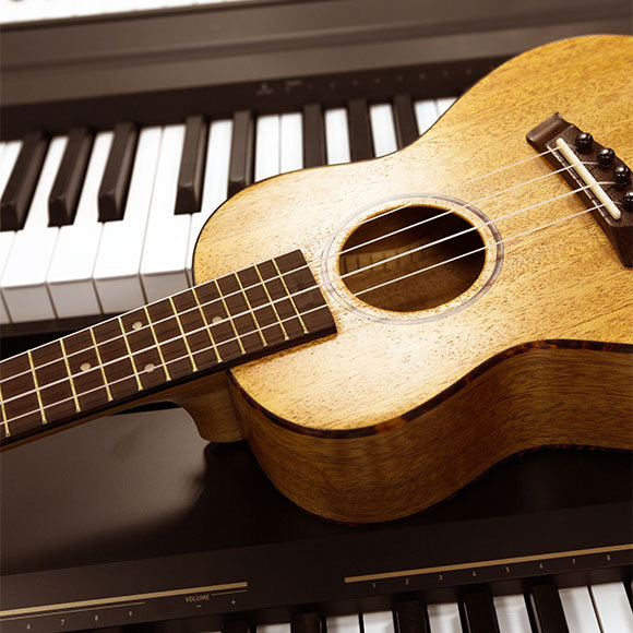 Why do a Piano and a Guitar Sound Differently?