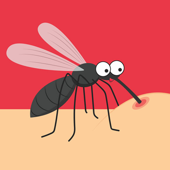 Junior Brainwash – Mosquitoes