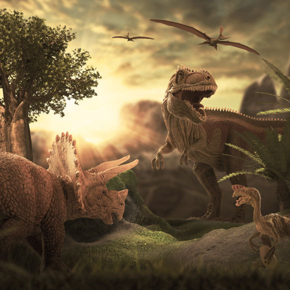 היונקים קבעו: בכוח, לא במוח