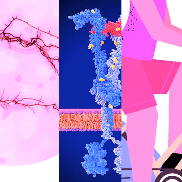 המחקרים החדשים ביותר: מהנשמדע 2/7/2022