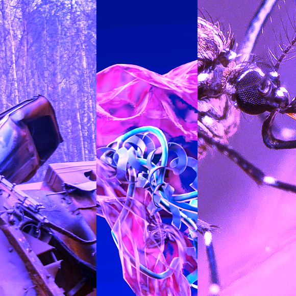 המחקרים החדשים ביותר: מהנשמדע 9/7/2022