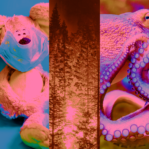 המחקרים החדשים ביותר: מהנשמדע 23/7/2022