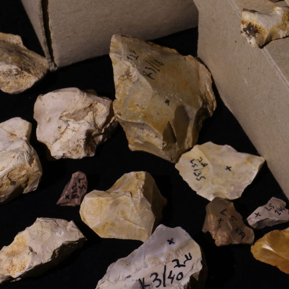 האש שבערה לפני מיליון שנים