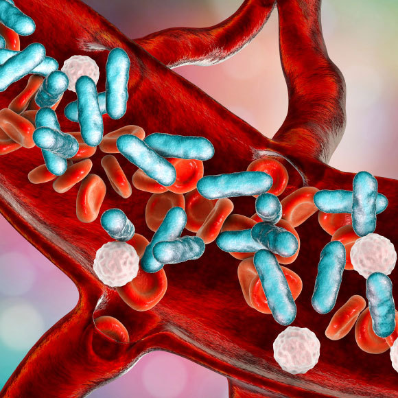 כשמערכת החיסון מאבדת כל רסן