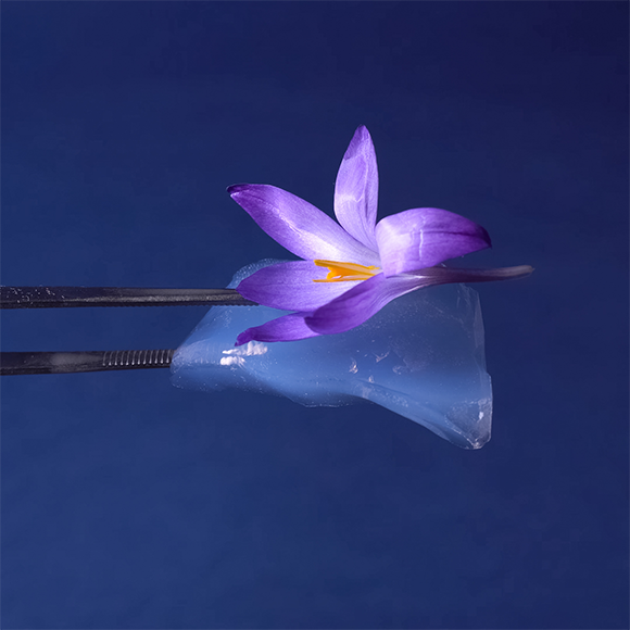 موادّ المستقبل