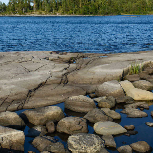 ערש החיים על הזכוכית הגעשית