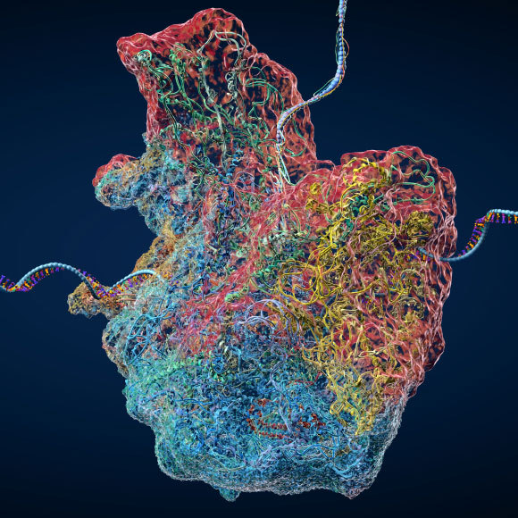 המוטציה השקטה שלפני הסערה