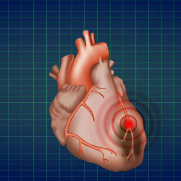 قلب المرأة وقلب الرجل