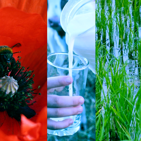 המחקרים החדשים ביותר: מהנשמדע 13/8/2022