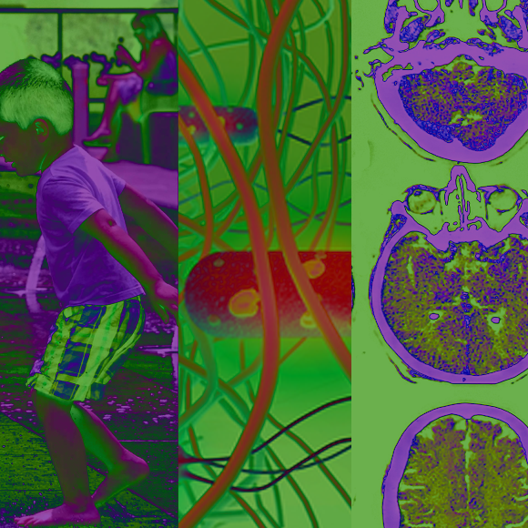 המחקרים החדשים ביותר: מהנשמדע 20/8/2022