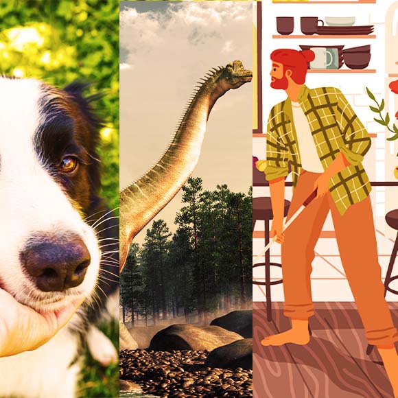 המחקרים החדשים ביותר: מהנשמדע 27/8/2022