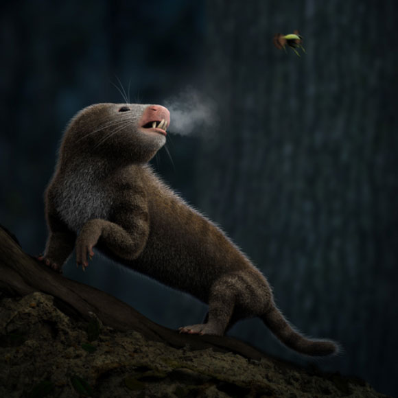 היונקים שהעלו את הטמפרטורה