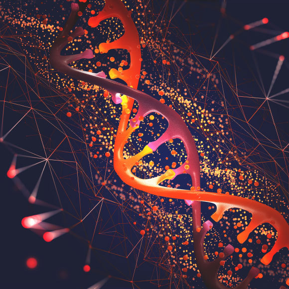 הרעש שעוררו המוטציות השקטות