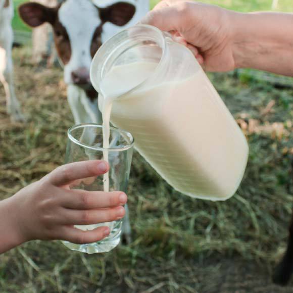 רעב, מחלות וצריכת חלב