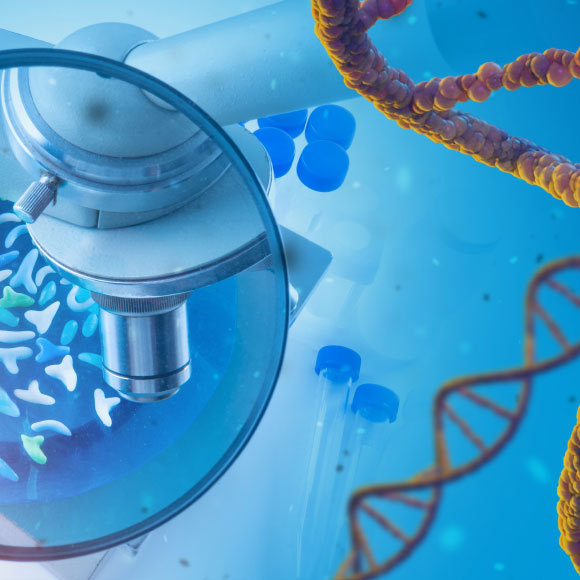 Storehouses of Heredity – The Chromosomes