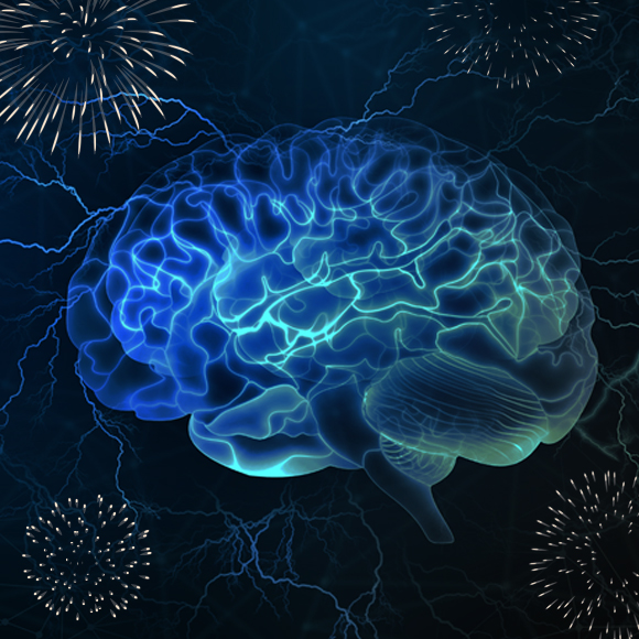 Brainwash – What is an Anaconda?