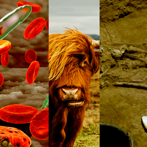 המחקרים החדשים ביותר: מהנשמדע 24/9/2022