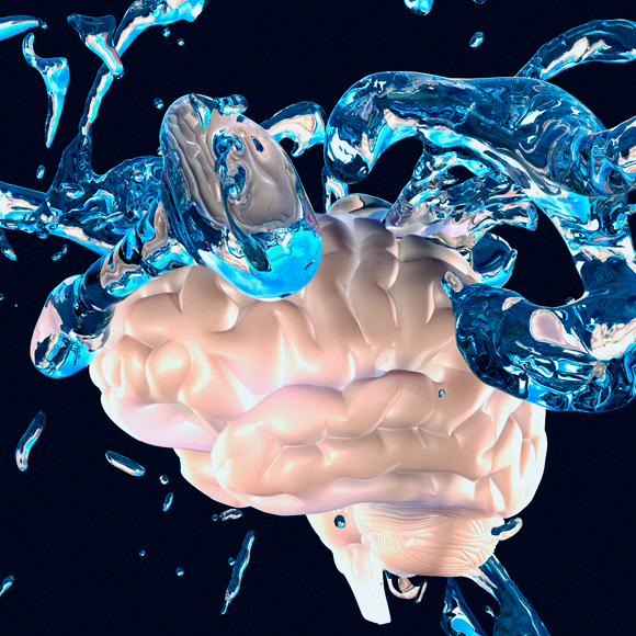 Brainwash – Where is the Spleen Located?