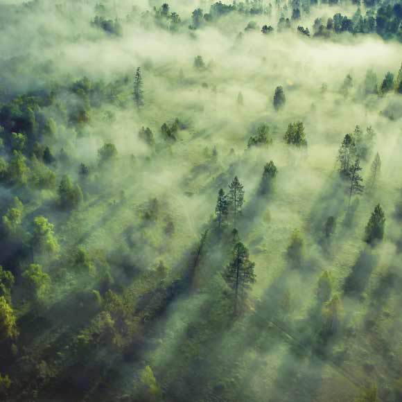 إذا ضَبضبت مِن باكِر.. احمل عَصاكَ وسافِر