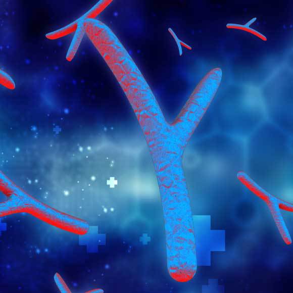 סיפורו של ה-Y האבוד