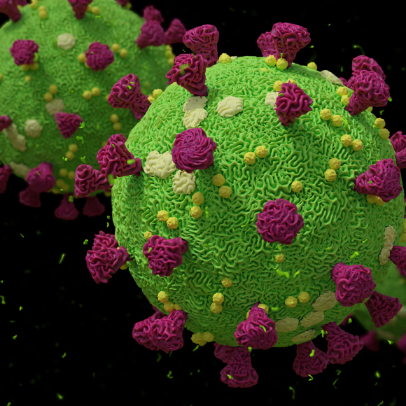 האתגר: חיים לצד הקורונה