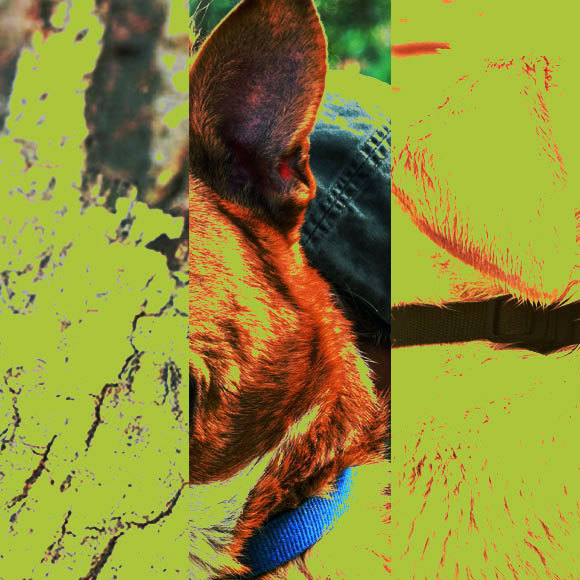 המחקרים החדשים ביותר: מהנשמדע 22/10/2022