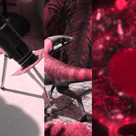 המחקרים החדשים ביותר: מהנשמדע 29/10/2022