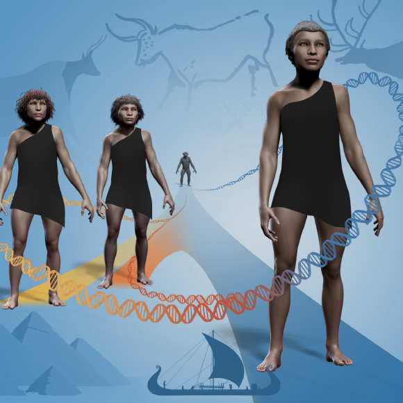The 2022 Nobel Prize in Physiology or Medicine – the Genetics of Human Evolution