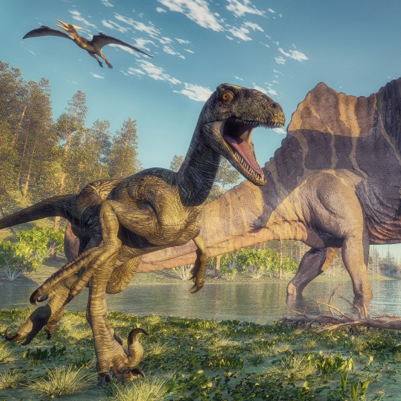 עקבות דינוזאורים