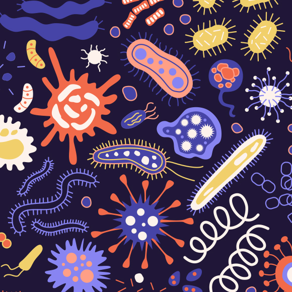 מחלות ללא גבולות: התפרצות כולרה מעבר לגבול