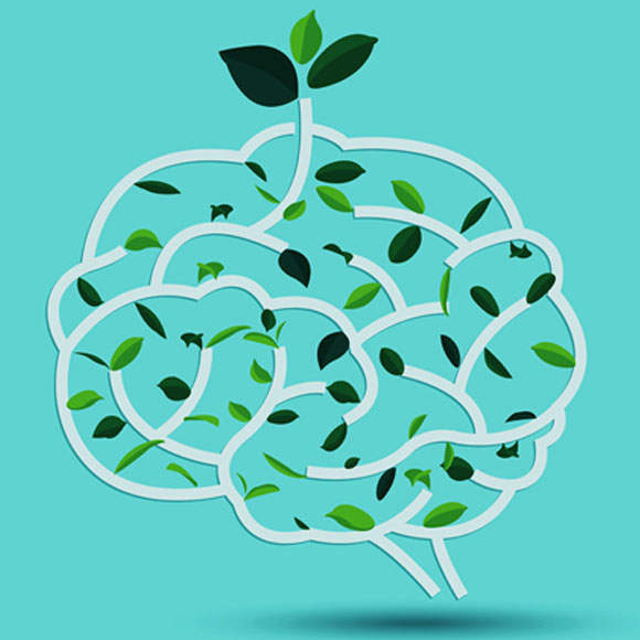 שטיפת מוח ג’וני﻿ור – 65