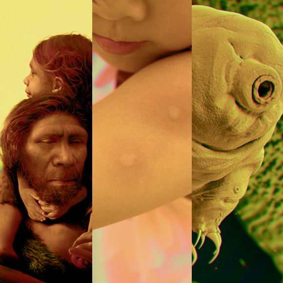 המחקרים החדשים ביותר: מהנשמדע 12/11/2022