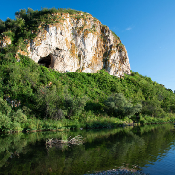 קשרי משפחה ניאנדרטליים