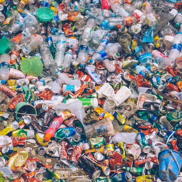 البروتينات التي تُفَكِّك البلاستيك وتُحلّلُه