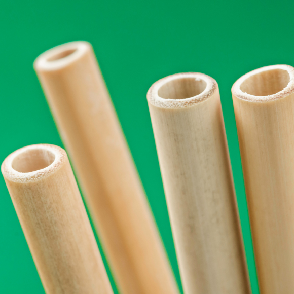 כמה חורים יש בקשית שתייה?