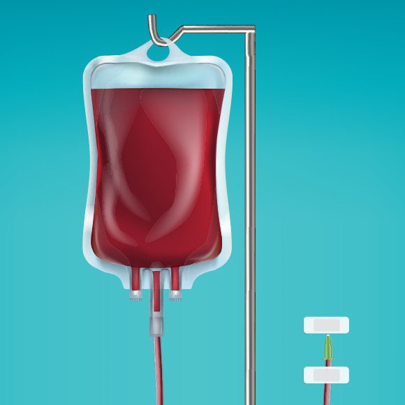 התאים שמזקינים את הגוף