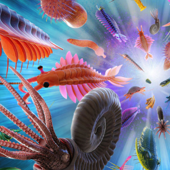 The Cambrian – An Explosion of Life
