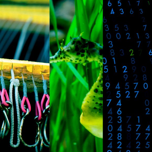 המחקרים החדשים ביותר: מהנשמדע 2/12/2022