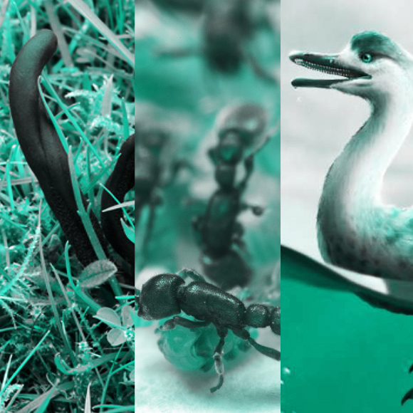 המחקרים החדשים ביותר: מהנשמדע 10/12/2022