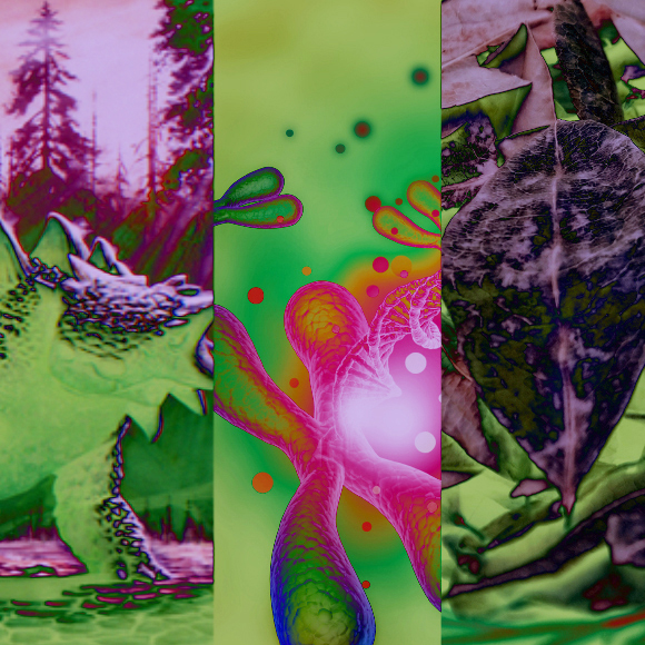 המחקרים החדשים ביותר: מהנשמדע 24/12/2022