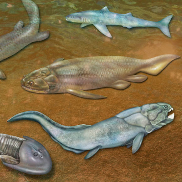 מתי נוצרה הלסת הראשונה בעולם?