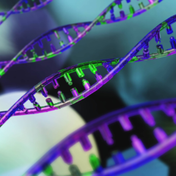 מולקולת העתיד